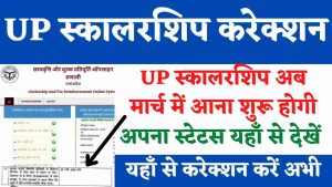 UP Scholarship