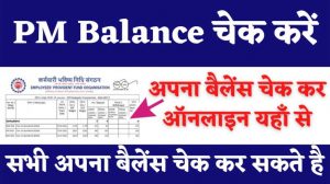 PM Balance Kaise Check Karen