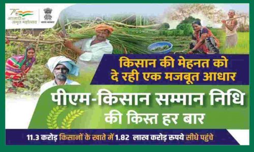 PM Kisan Check Details