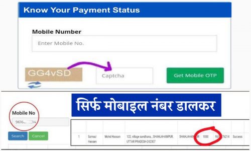 E Shram Card Payment Status 2022