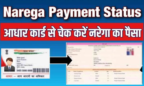 Narega Payment Status