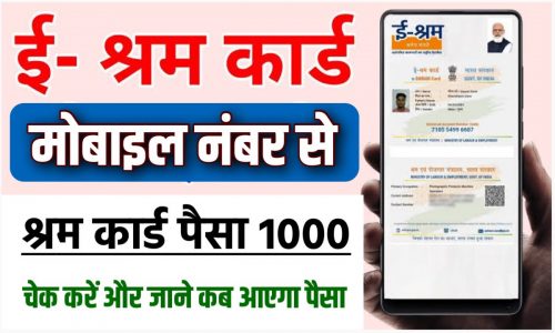 E Shram Payment Status