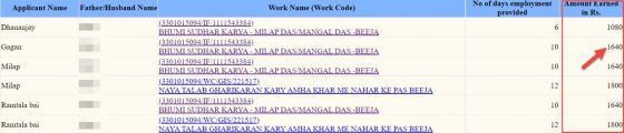 Narega Payment Online Check