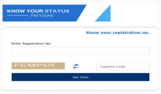 PM Kisan Beneficiary Status