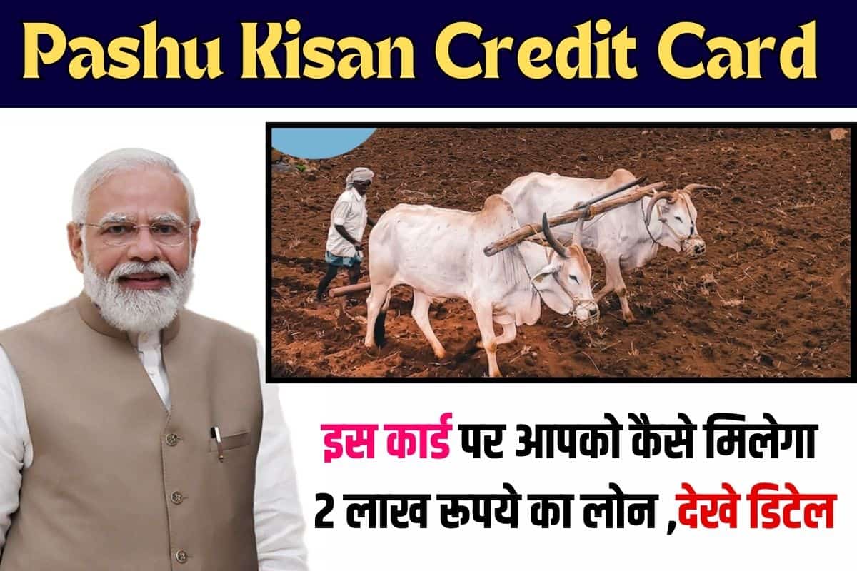 Pashu Kisan Credit Card 2023