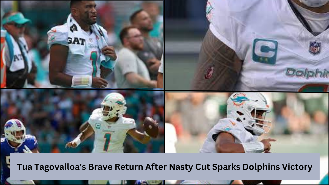 Dolphins Victory