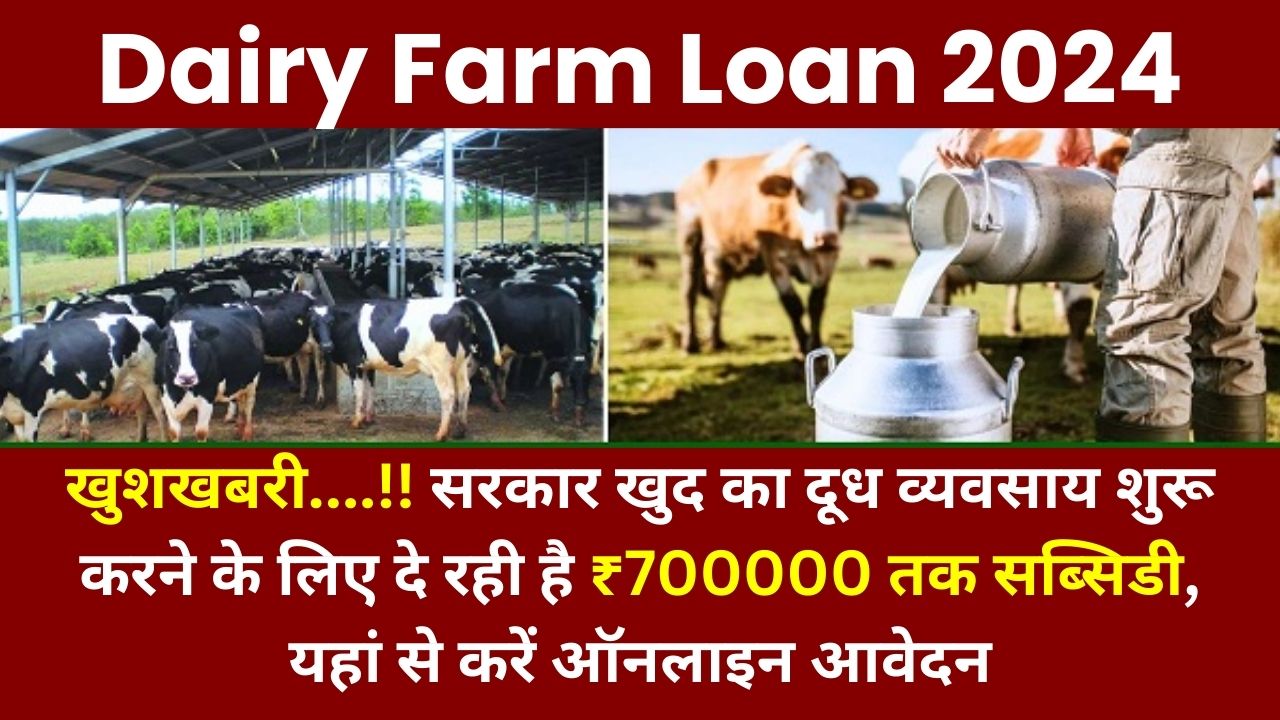 Dairy Farm Loan 2024